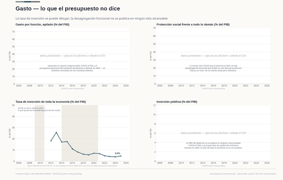 Cuatro paneles: tres pendientes por la desagregación funcional, la separación de protección social y la inversión pública, cada uno con la ruta que falló; y la inversión de toda la economía cayendo de un cuarto del PIB a menos del 4%.